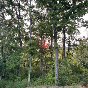 Meet your Posher, Vickye